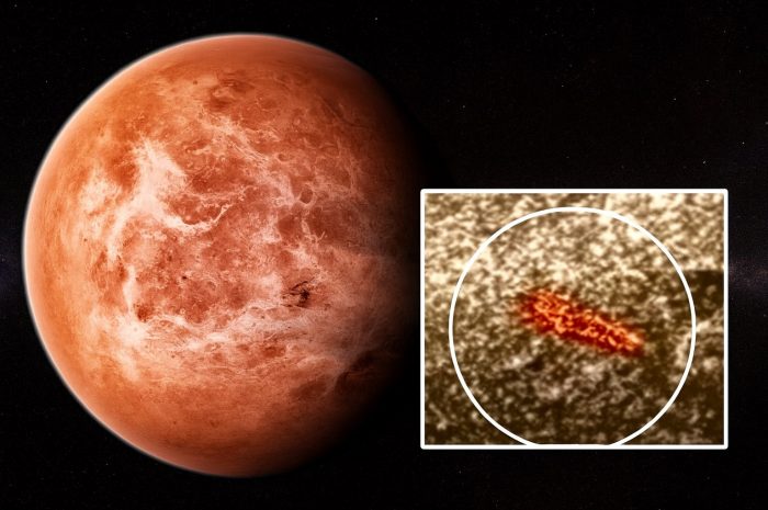 Leonid Ksanfomaliti and the Mystery of Life on Venus