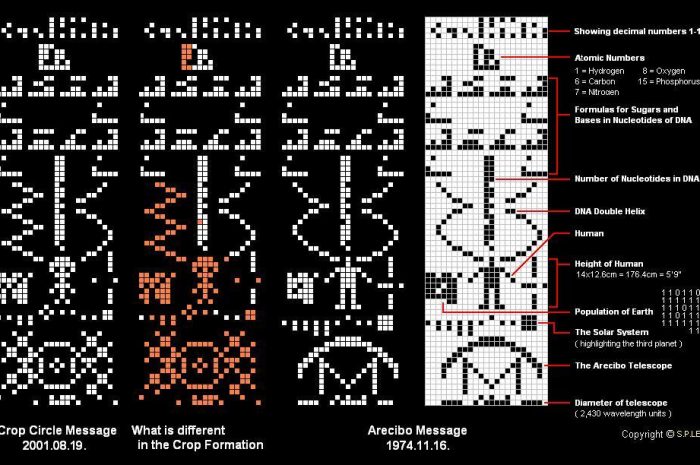 The Arecibo Message and the Mysterious Reply at Chilbolton