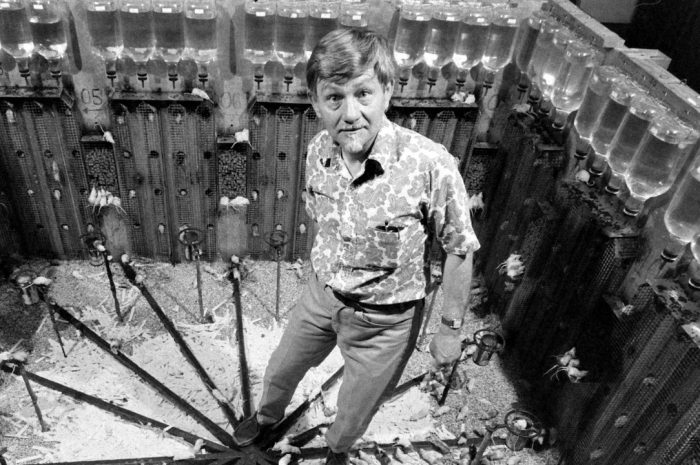 Universe 25 — The Darkest Social Experiment in History: How Comfort and Abundance Can Destroy a Civilization