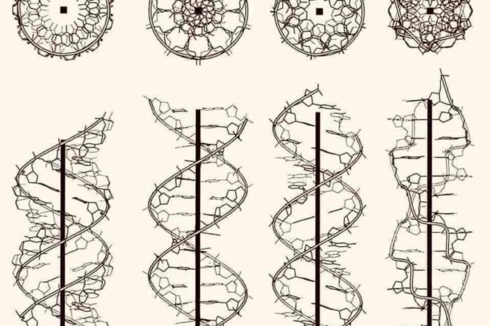 Pyotr Garjajev and the DNA Wave Theory (“Wave Genetics”)