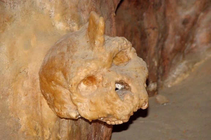 The Mysterious Petralona Cave Skull — Neither Human nor Neanderthal